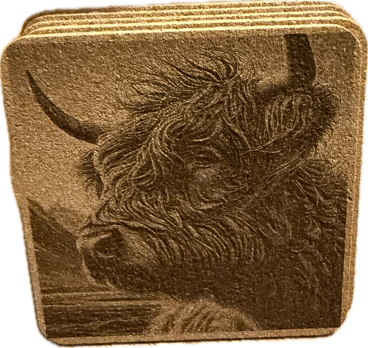Highland Cow 6pk Cork Coaster w/ holder